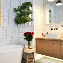 ТОП-7 лучших растений для ванной: где и как разместить, советы по уходу