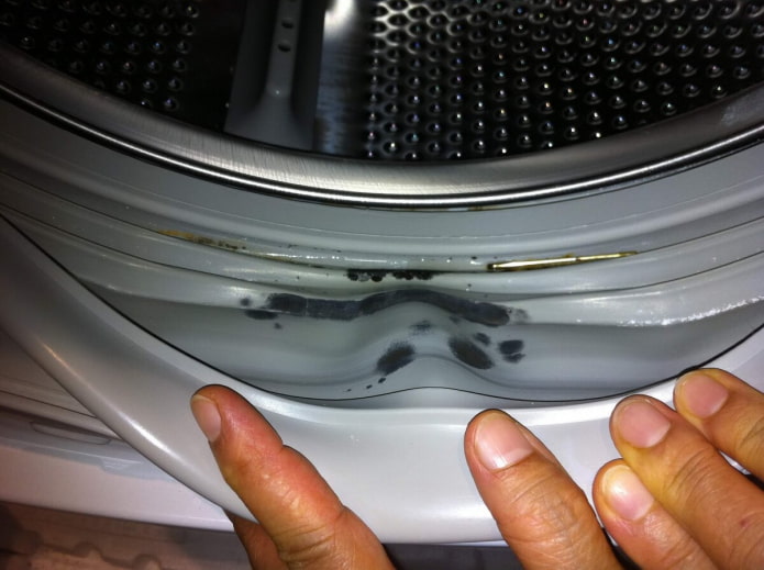 Нужно ли закрывать дверцу стиральной машины? (Разберем все за и против)