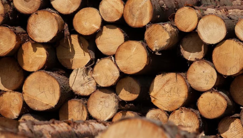 Основні аспекти ринку необробленої деревини