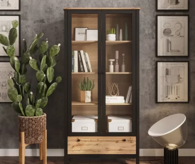Мебельные тренды – шкафы-витрины в современном интерьере